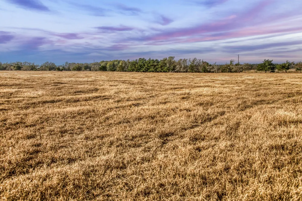County Road 318 Caldwell, TX 77836