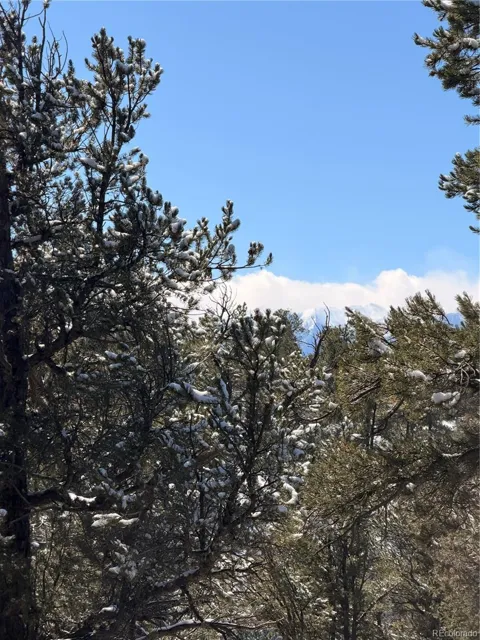 000 41st Trail