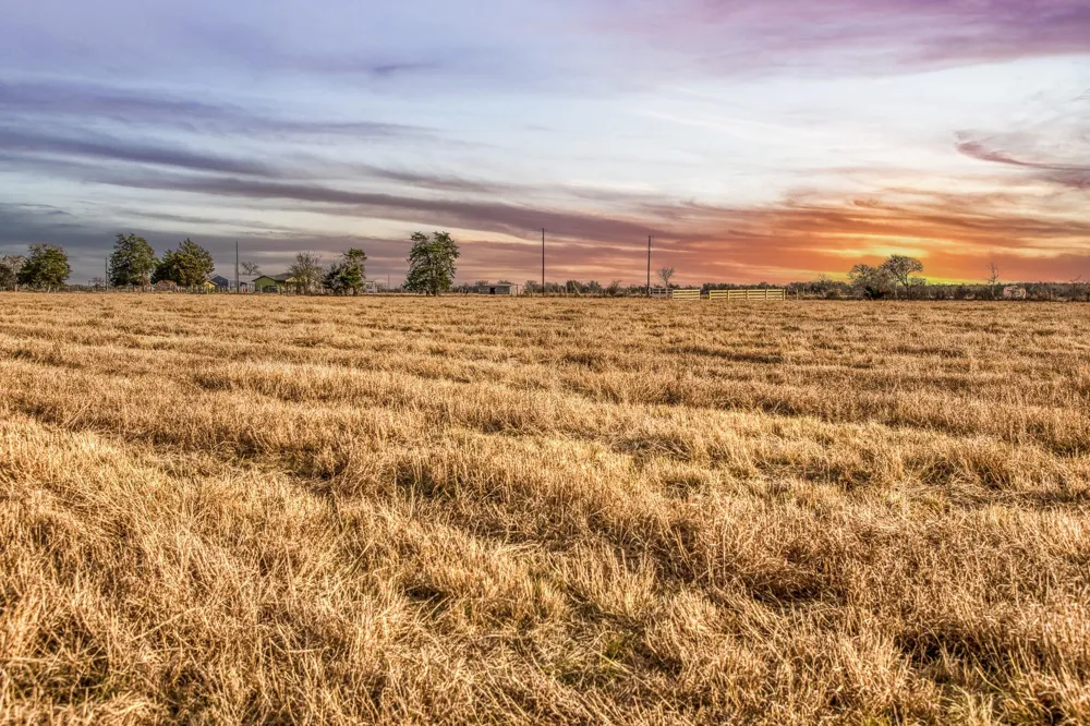 County Road 318 Caldwell, TX 77836