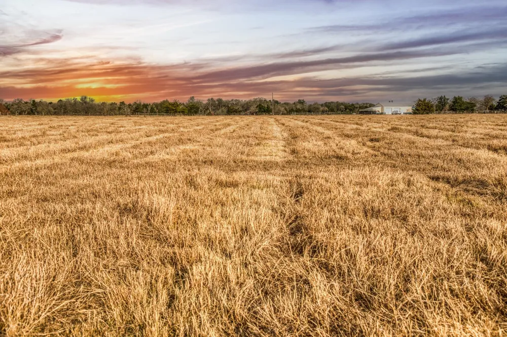 County Road 318 Caldwell, TX 77836