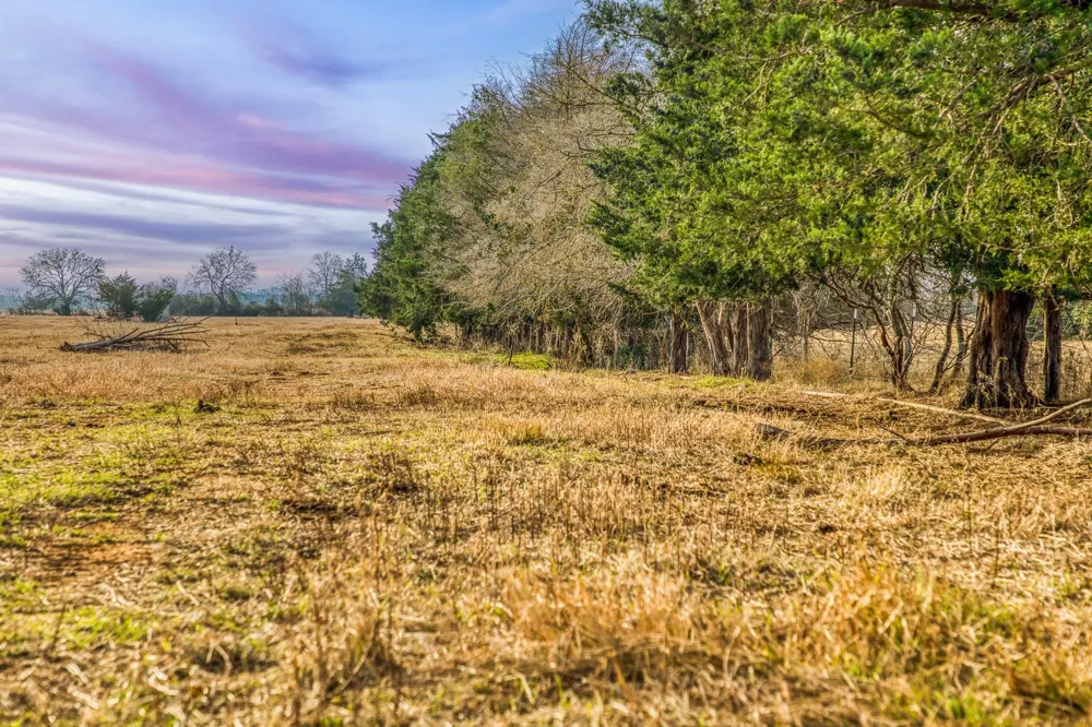 County Road 318 Caldwell, TX 77836