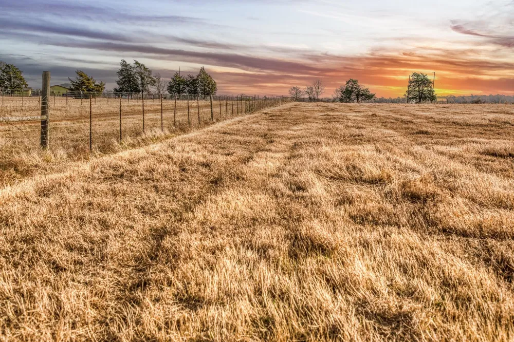 County Road 318 Caldwell, TX 77836