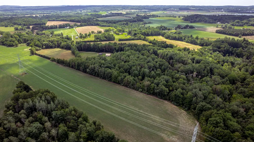 1442 W Tyler Road Hart Township, MI 49420