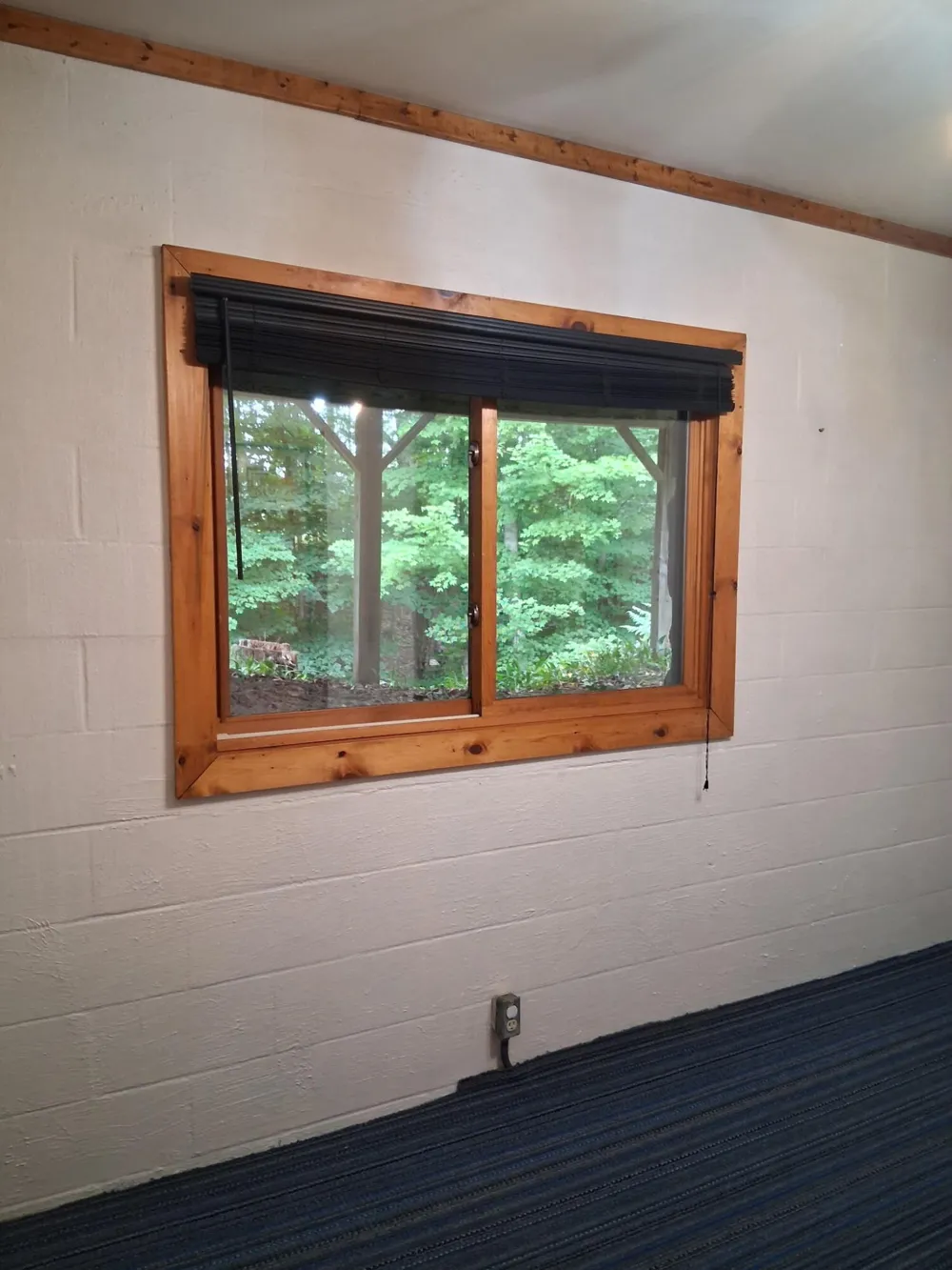 1442 W Tyler Road Hart Township, MI 49420