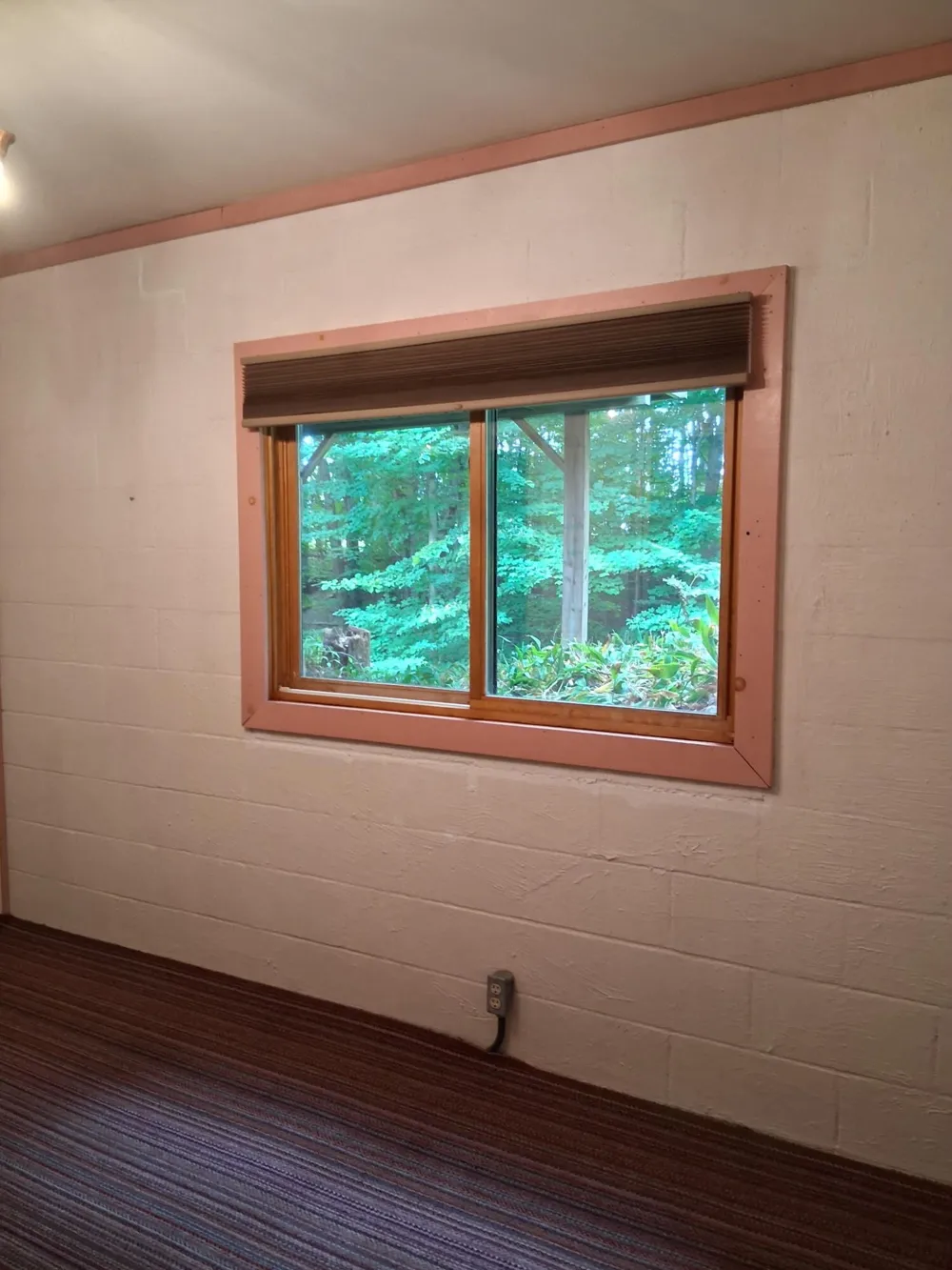 1442 W Tyler Road Hart Township, MI 49420