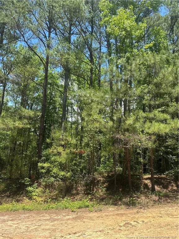 355 Marigold Lane Vass, NC 28394