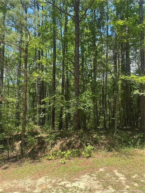 355 Marigold Lane Vass, NC 28394