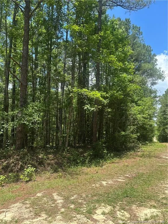 355 Marigold Lane Vass, NC 28394
