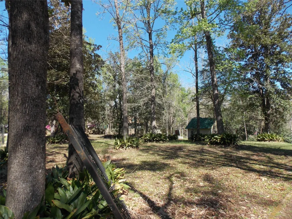 426 Driftwood Drive Goodrich, TX 77335
