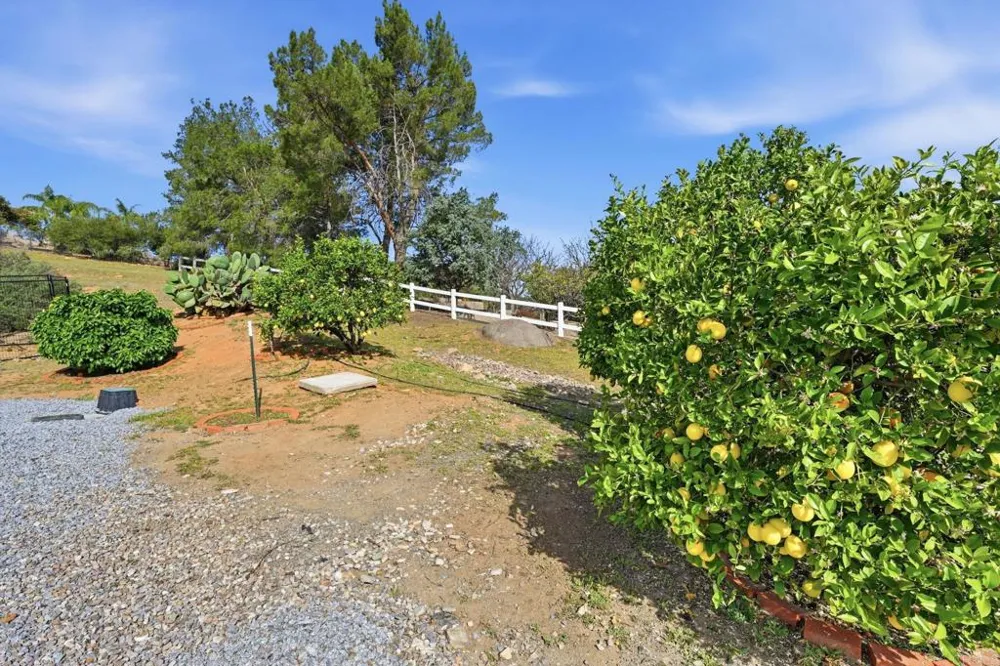 2852 Conestoga Court Alpine, CA 91901