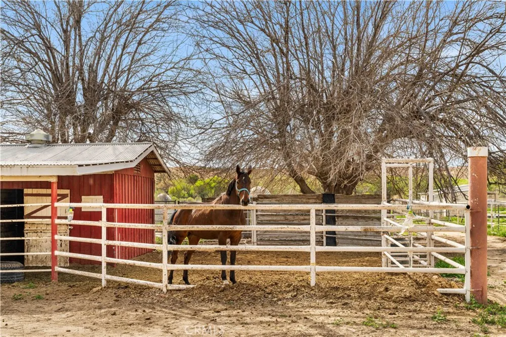 14433 Roy Rogers Ranch Oro Grande, CA 92368