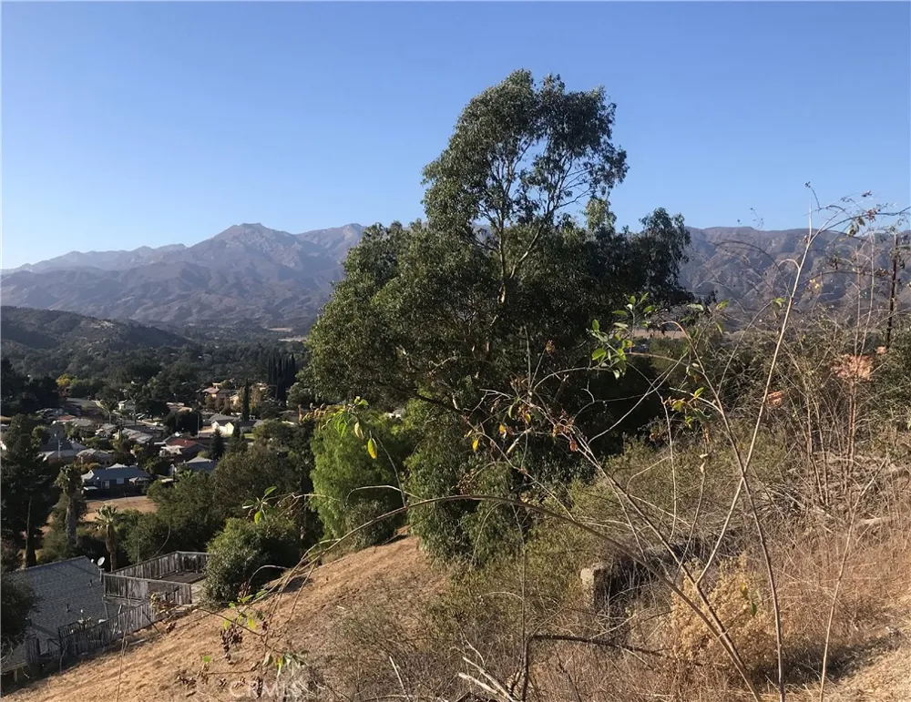 265 Encino Drive Oak View, CA 93022
