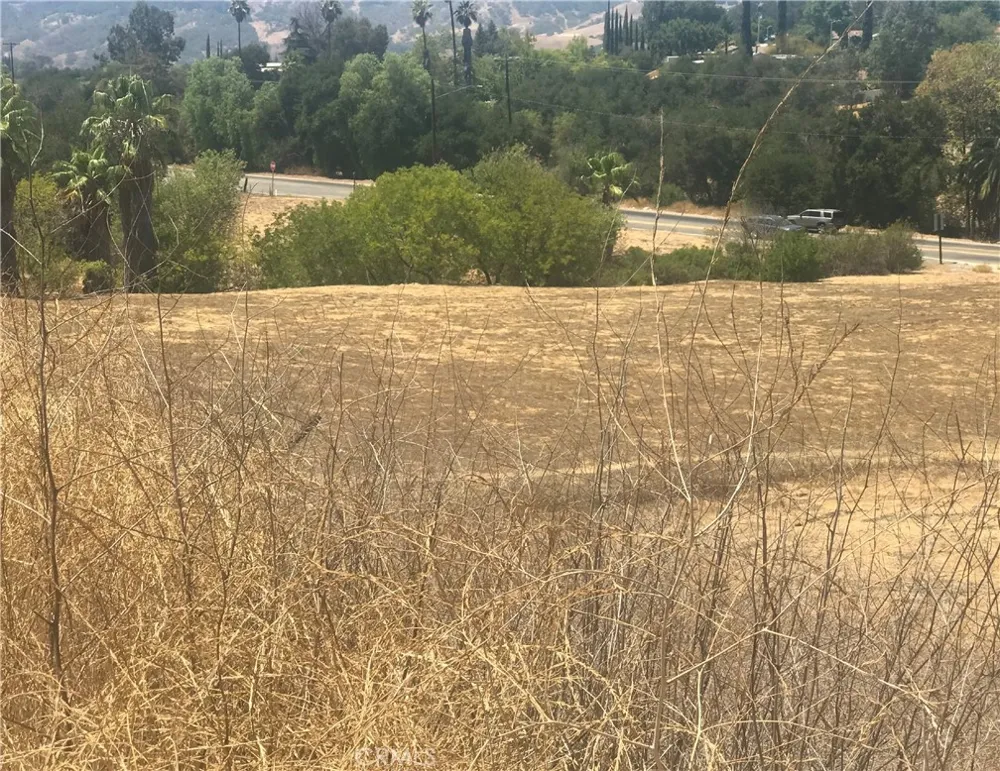 11146 Ventura Ojai, CA 93023