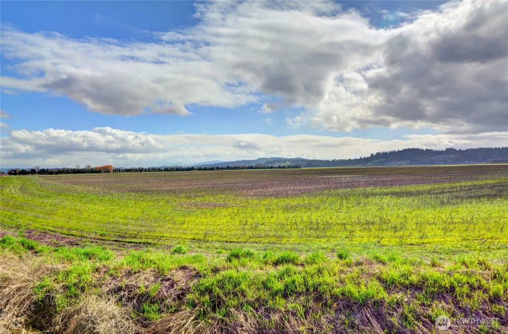6910 Marsh Road Snohomish, WA 98296