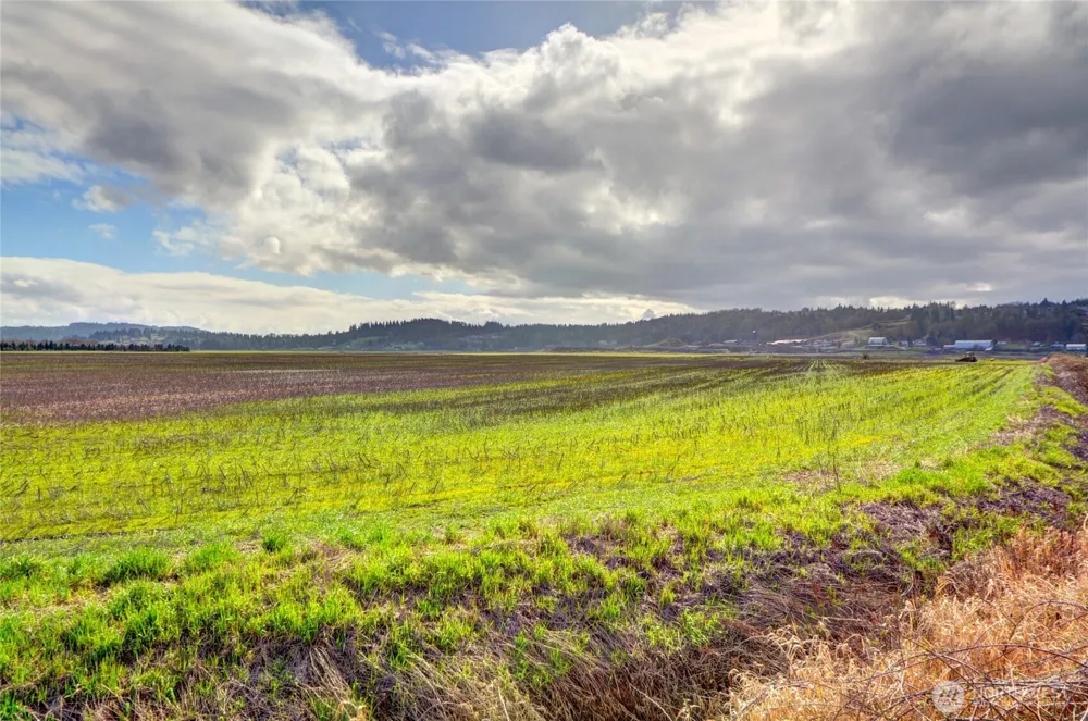 6910 Marsh Road Snohomish, WA 98296
