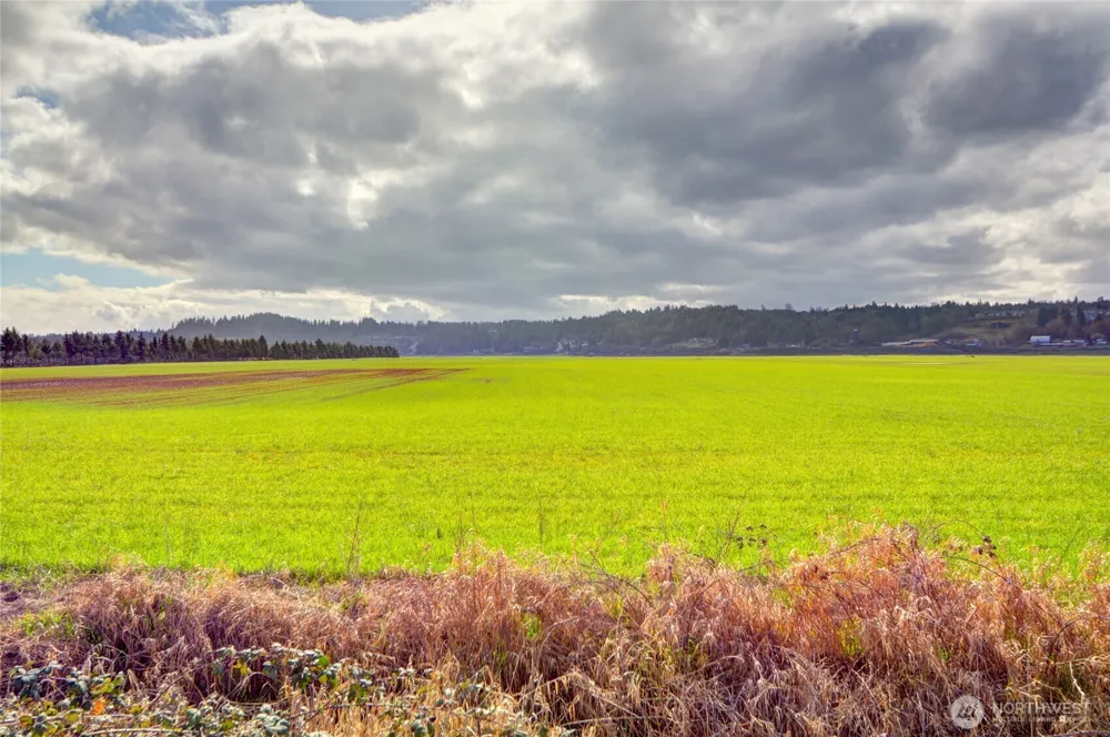 6910 Marsh Road Snohomish, WA 98296