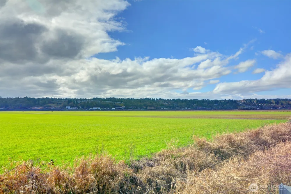 6910 Marsh Road Snohomish, WA 98296