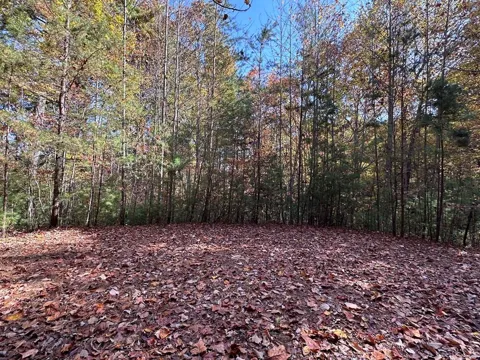 TBD Atoah Loop