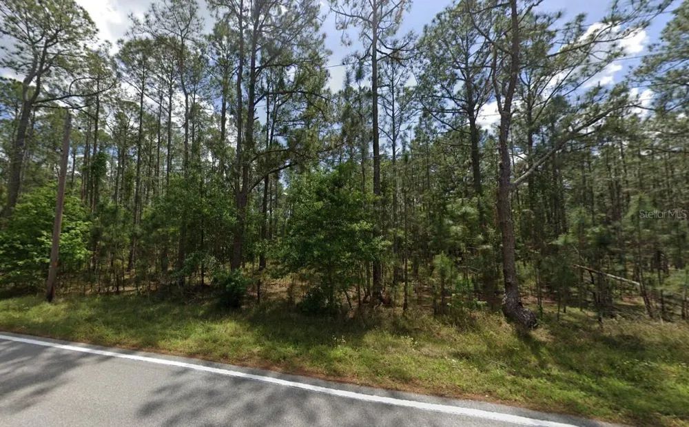 POYNER OAKS ROAD Polk City, FL 33868