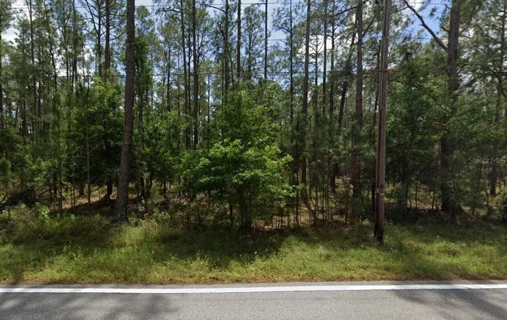 POYNER OAKS ROAD Polk City, FL 33868