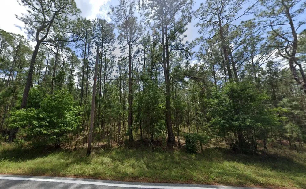 POYNER OAKS ROAD Polk City, FL 33868