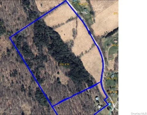275-1-11 Budine Hill Road