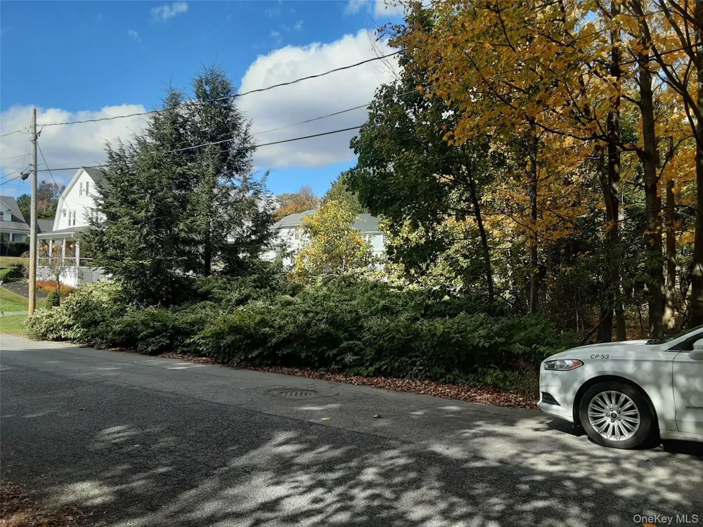 Woodland Avenue Liberty, NY 12754