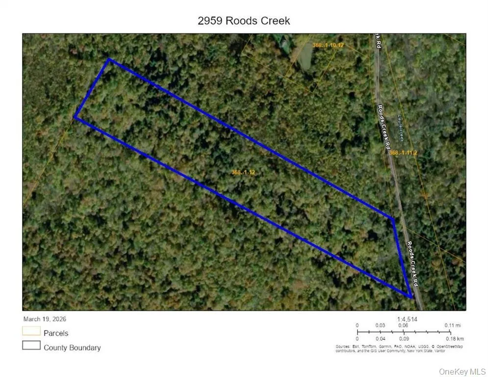 2959 Roods Creek Road Hancock, NY 13783