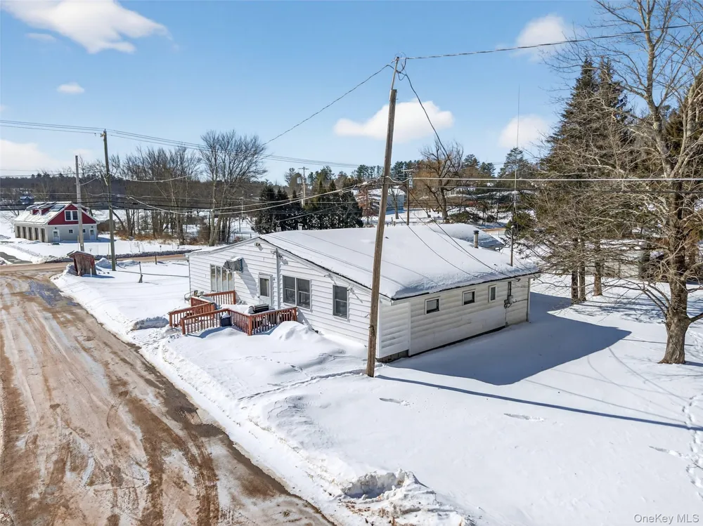 3 Cooper Drive Kauneonga Lake, NY 12720
