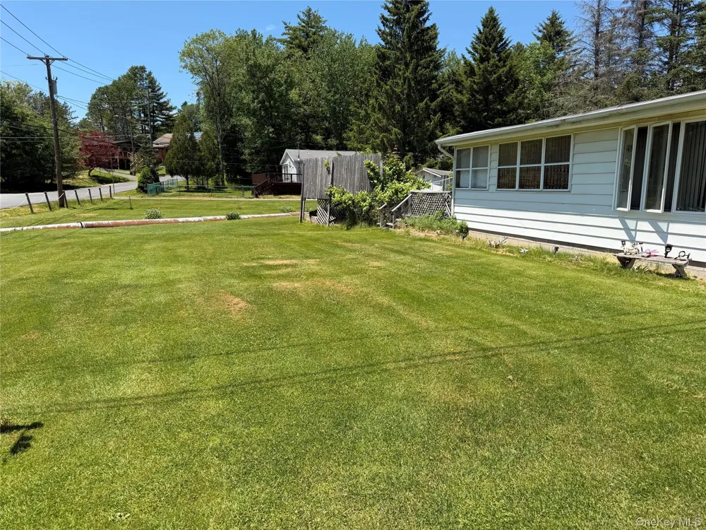 3 Cooper Drive Kauneonga Lake, NY 12720