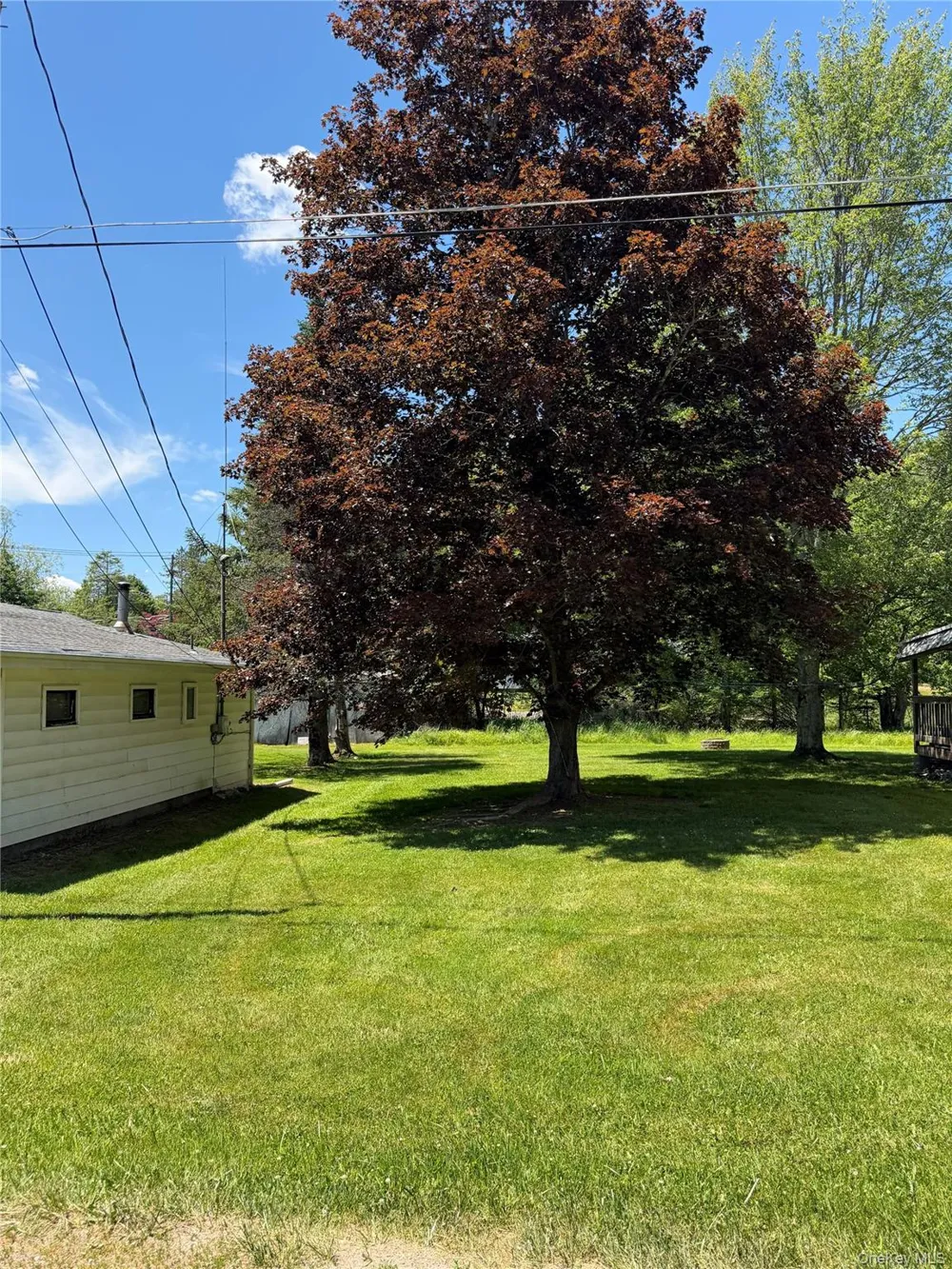 3 Cooper Drive Kauneonga Lake, NY 12720