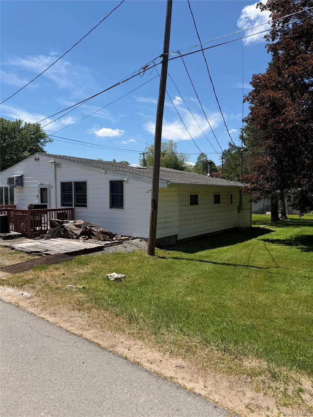 3 Cooper Drive Kauneonga Lake, NY 12720