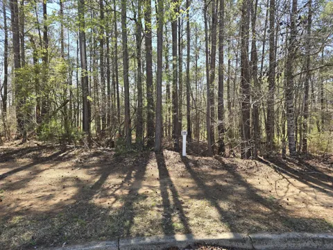 27 Saluda Court