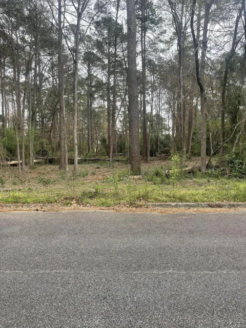 White Oak Drive
