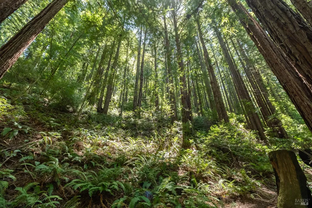 7001 Lucas Valley Road Nicasio, CA 94946
