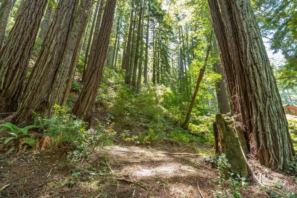 7001 Lucas Valley Road Nicasio, CA 94946