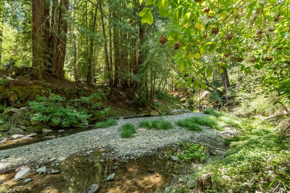 7001 Lucas Valley Road Nicasio, CA 94946