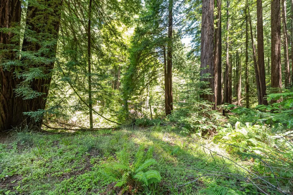 7001 Lucas Valley Road Nicasio, CA 94946