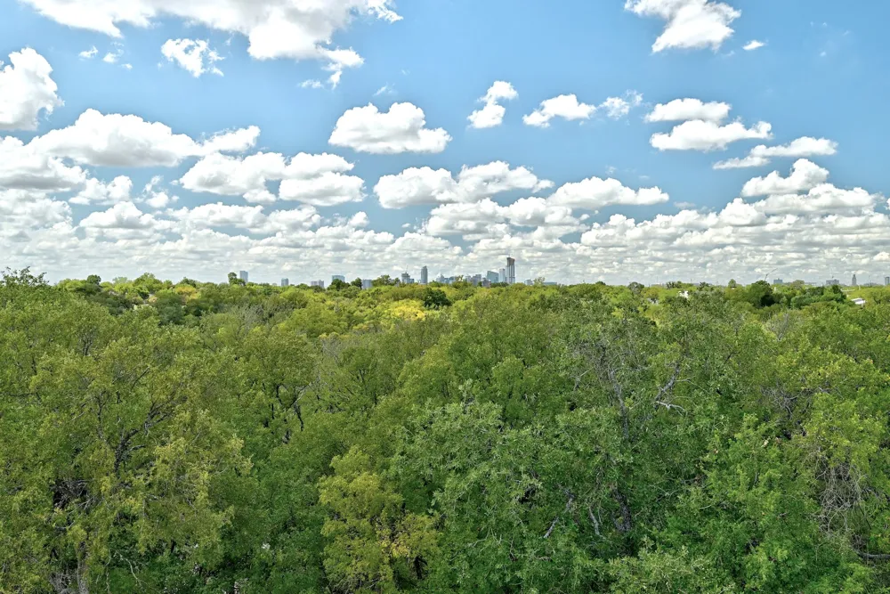 3406 E 17th Street #5 Austin, TX 78721