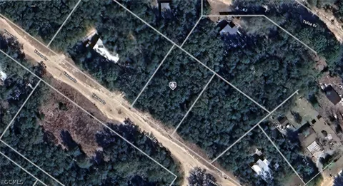 Vassar Drive