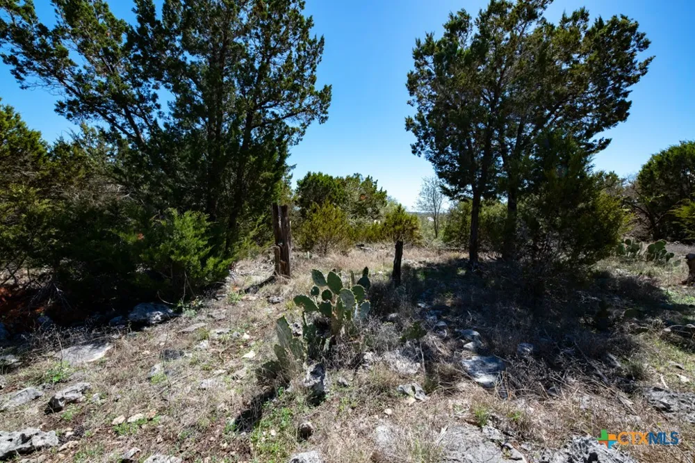 339 Valley Lodge New Braunfels, TX 78132