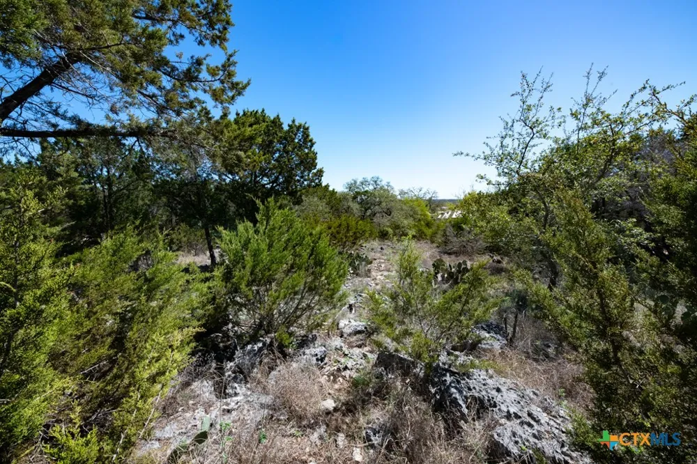 339 Valley Lodge New Braunfels, TX 78132