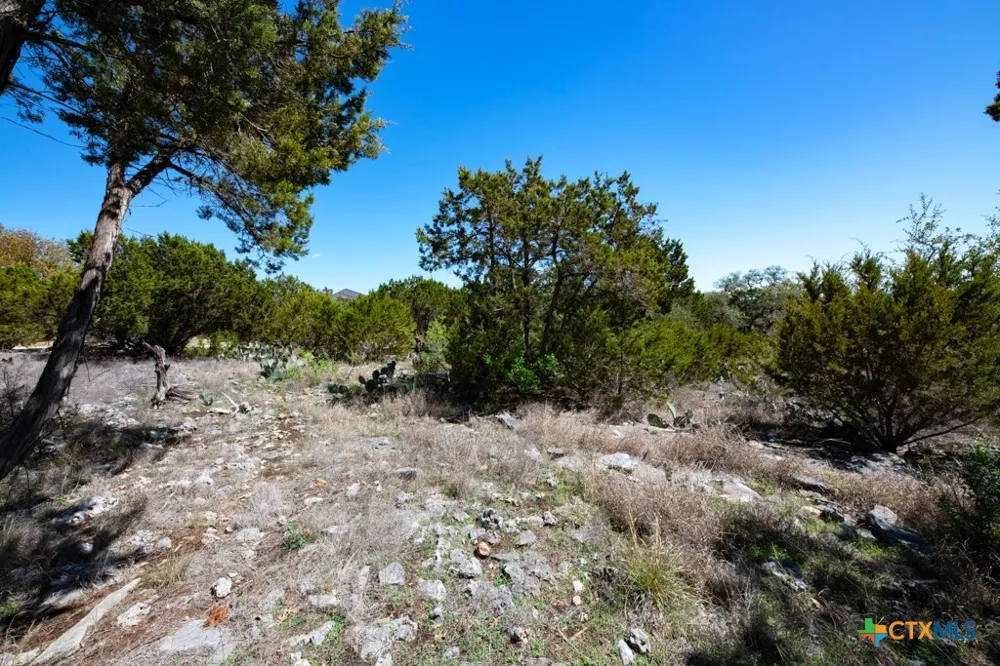 339 Valley Lodge New Braunfels, TX 78132