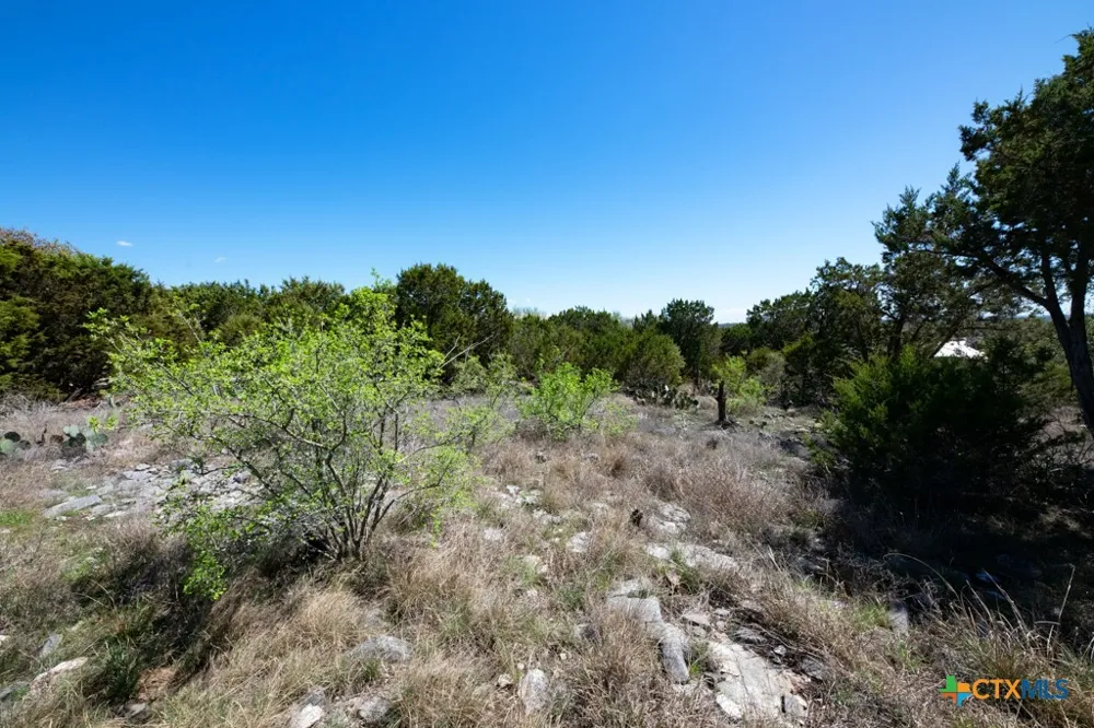 339 Valley Lodge New Braunfels, TX 78132