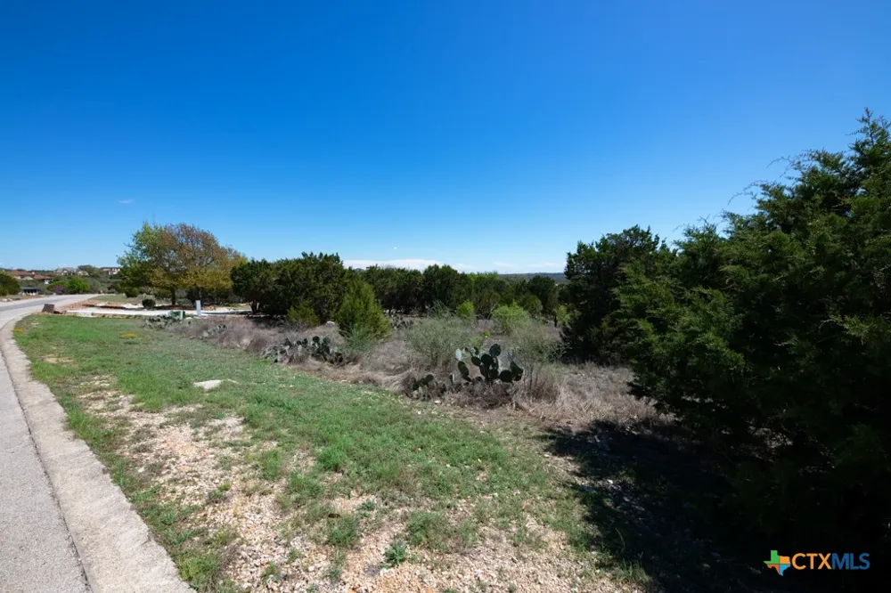 339 Valley Lodge New Braunfels, TX 78132