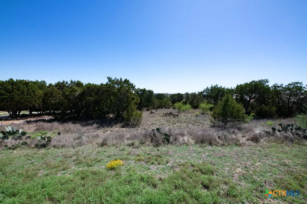 339 Valley Lodge New Braunfels, TX 78132