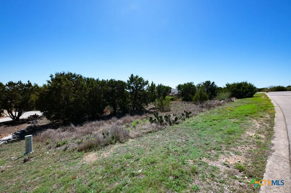 339 Valley Lodge New Braunfels, TX 78132