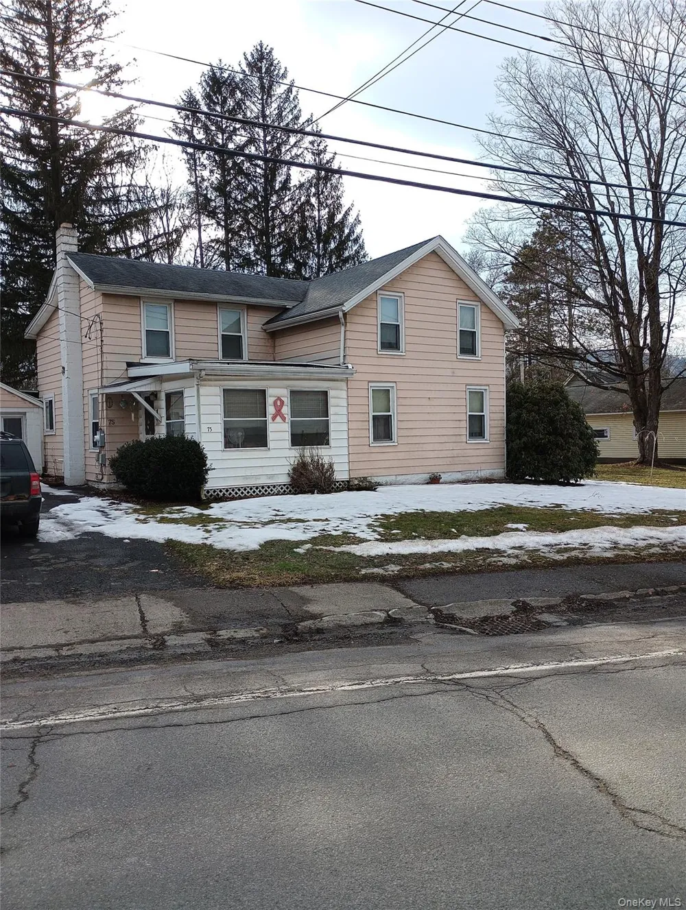 75 Stockton Avenue Walton, NY 13856