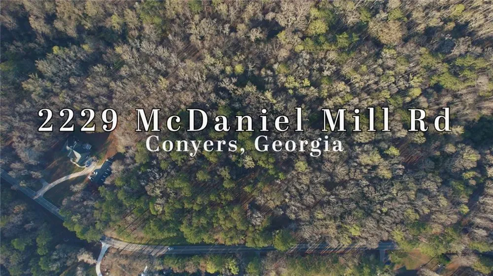 2229 Mcdaniel Mill Road SW Conyers, GA 30094