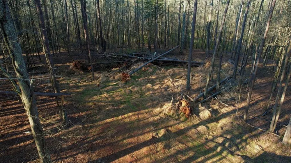 2229 Mcdaniel Mill Road SW Conyers, GA 30094